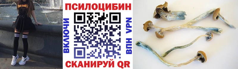 цена наркотик  Томмот  Псилоцибиновые грибы мицелий 