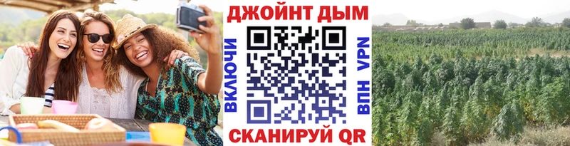 Шишки марихуана марихуана  Томмот 